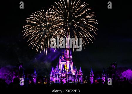 2024 Department of Defense Warrior Games Athleten und ihre Familien und Freunde genießen ein Feuerwerk während einer Veranstaltung im Disney World's Magic Kingdom Vergnügungspark in Lake Buena Vista, Florida, 21. Juni 2024. Die Warrior Games wurden entwickelt, um die Genesungsreisen von verwundeten, kranken, verletzten Servicemitarbeitern und Veteranen außerhalb der traditionellen Therapieumgebung zu verbessern und die Gemeinschaft in Echtzeit zur Genesung zusammenzubringen. Die zehntägige Veranstaltung besteht aus mehr als 200 verletzten, kranken und verletzten Mitgliedern des Dienstes und erfahrenen Athleten, die an 11 adaptiven Sportveranstaltungen vom 21. Bis 30. Juni teilnehmen. Stockfoto