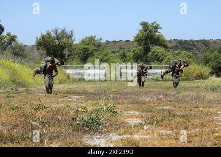 US-Marines und Navy-Korps mit Feuerwehrmann der 1. Marine Division tragen simulierte Verluste während des jährlichen Corpsman Cup im Marine Corps Base Camp Pendleton, Kalifornien, 14. Juni 2024. Der Corpsman Cup ist eine langjährige Tradition innerhalb des 1st MARDIV, die medizinisches Personal aus der gesamten Division zusammenbringt, um durch eine Reihe von physischen Herausforderungen und technischen Bewertungen konkurrieren zu können. (Foto des U.S. Marine Corps von CPL. Anita Ramos) Stockfoto
