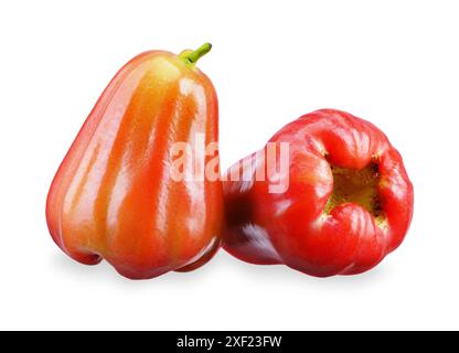 Rosenapfel isoliert auf weißem Hintergrund. Schneidepfad für Rosenapfel Stockfoto