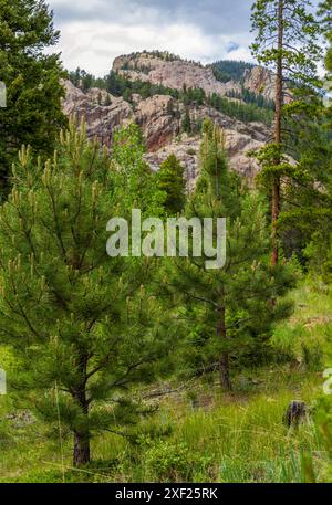 Malerische felsige Landschaft im Staunton State Park, Colorado Stockfoto