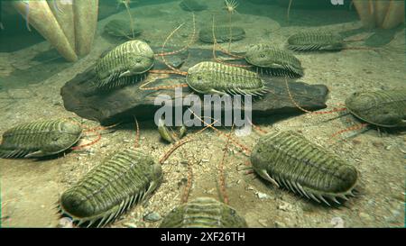 Eine Illustration einer Gruppe ausgestorbener Trilobiten, die vor 420 Millionen Jahren auf einem Meeresboden plünderten. Stockfoto