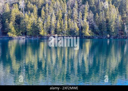 Green Lakes State Park in Syracuse, New York. Blick auf die baumbestandene Küste mit einer wunderschönen Reflexion der Bäume im Wasser an einem sonnigen Wintertag. Stockfoto