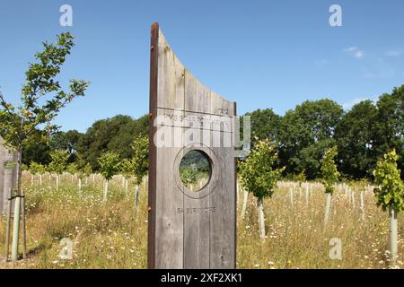 HMS Sparrowhawk, Andrew Lapthorn Oak Bullaugenmarker, Battle of Jütland Tribute, Langley Vale Centenary Wood, Epsom Surrey, England, 2024 Stockfoto