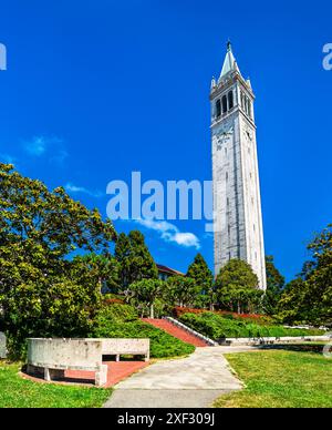 Der Campanile Tower an der University of California, Berkeley in der San Francisco Bay Area, USA Stockfoto