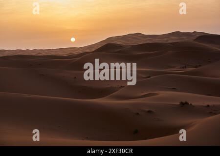 Weiche, sanfte Sanddünen in der Wüste Merzouga bei Sonnenuntergang schaffen eine ruhige Landschaft. Vertikales Bild Stockfoto