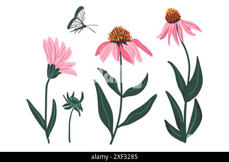 Die purpurroten Blüten der Koneflorblume sind isoliert auf weißem Hintergrund. Echinacea purpurea Wildblumensammlung. Vektor handgezeichnet flache Illustration. Stock Vektor