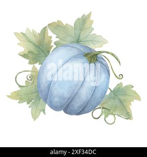 Ein blauer Kürbis, umgeben von grünen Blättern und Weinstöcken. Squash Watercolor Clipart. Perfekt für Herbstmotive wie Grußkarten, Scheunenhochzeiten, Einladungen und saisonale Wohnkultur, Flyer Stockfoto