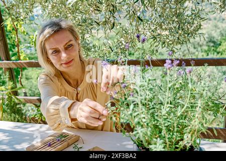 Frau, die handgemachte Geschenkpakete mit handgefertigtem Recyclingpapier und getrockneten Lavendelblumen auf dem Tisch mit Leinentischdecke herstellt. Natürliche Ästhetik. Stockfoto