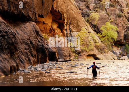 Eine Frau wandert durch ein Flussbett im Zion-Nationalpark in Springdale, Utah. Stockfoto