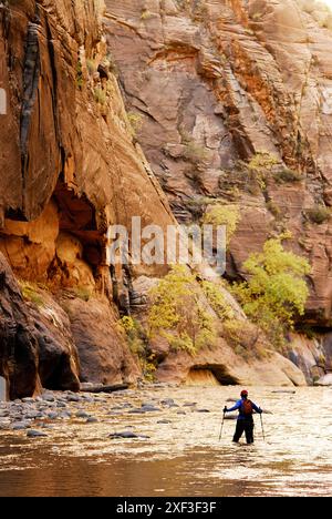 Eine Frau wandert durch ein Flussbett im Zion-Nationalpark in Springdale, Utah. Stockfoto