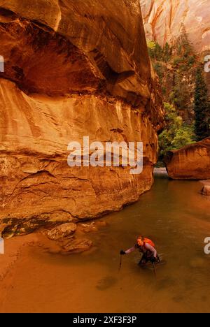 Eine Frau wandert durch ein Flussbett im Zion-Nationalpark in Springdale, Utah. Stockfoto