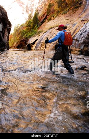 Eine Frau wandert durch ein Flussbett im Zion-Nationalpark in Springdale, Utah. Stockfoto