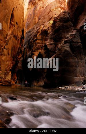 Eine Frau wandert durch ein Flussbett im Zion-Nationalpark in Springdale, Utah. Stockfoto