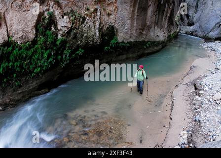 Eine Frau wandert durch ein Flussbett im Zion-Nationalpark in Springdale, Utah. Stockfoto