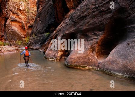 Eine Frau wandert durch ein Flussbett im Zion-Nationalpark in Springdale, Utah. Stockfoto