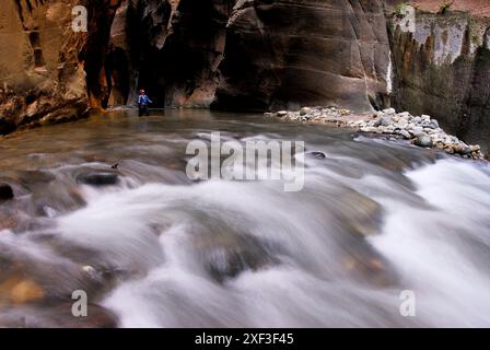 Eine Frau wandert durch ein Flussbett im Zion-Nationalpark in Springdale, Utah. Stockfoto