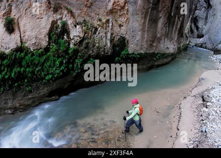 Eine Frau wandert durch ein Flussbett im Zion-Nationalpark in Springdale, Utah. Stockfoto