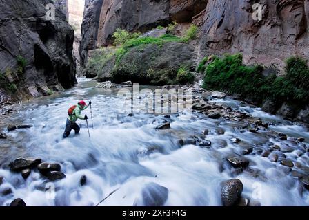 Eine Frau wandert durch ein Flussbett im Zion-Nationalpark in Springdale, Utah. Stockfoto