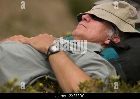 Wandern im Valhalla Mountain Lodge Touren. New Denver. British Columbia, Kanada Stockfoto