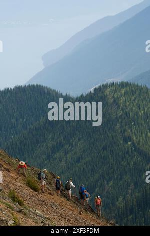 Wandern im Valhalla Mountain Lodge Touren. New Denver. British Columbia, Kanada Stockfoto