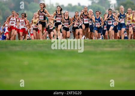 Viele Mädchen laufen in einem Cross Country Rennen Stockfoto