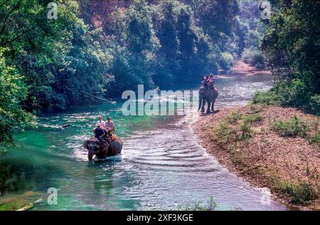 Thailand - vor einem Elefantenschutzgebiet in der Nähe von Chiang Mai können Touristen auf einem Elefanten reiten. Stockfoto