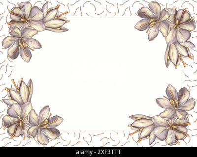 Ein Rahmen mit einem lila Blumenstrauß aus Safranblüten auf weißem Hintergrund mit orangefarbenen Staubblättern. Aquarellillustration einer Frühlingsblume. Essen, Gewürze Stockfoto