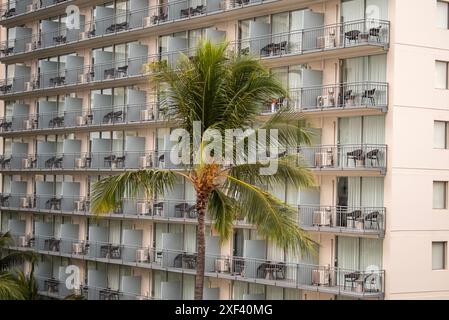 Ein hoch aufragendes Apartmenthaus in Honolulu steht hoch über dem Himmel, mit einer majestätischen Palme im Vordergrund, die urbanes Leben mit Tropica verbindet Stockfoto