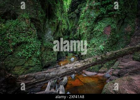 Die Teufelskulpe ist eine wunderschöne Schlucht in der schottischen Landschaft in der Nähe von Loch Lomond und dem Trossachs-Nationalpark. Ein ehemaliger Drehort für den Stockfoto