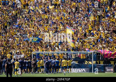 Die Fans von América feiern einen Sieg nach dem Campeón de Campeones-Spiel 2024 zwischen América und den Tigres UANL am Sonntag, den 30. Juni 2024, bei The Dignity Stockfoto