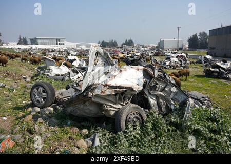 HATAY, TURKIYE - 26. FEBRUAR 2024: Zertrümmerte Fahrzeuge während des Hatay-Erdbebens vom 6. Februar 2023 Stockfoto