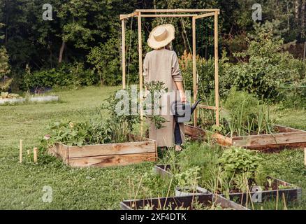 Junge moderne Boho-Hobbygärtner im Gemüse- und Kräutergarten, Rückansicht. Halten Sie die schwarze Gießkanne und stehen Sie zwischen einem erhöhten Gartenbeet. Stockfoto