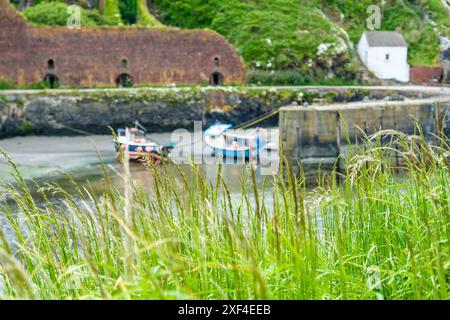 Porthgain Hafen an der Pembrokeshire Coast, Wales, Großbritannien Stockfoto