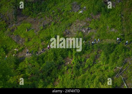 Aus der Vogelperspektive, Wandergruppe im Wald Eggeosthang mit Waldschäden, Teutoburger Wald, Leopoldstal, Horn-Bad Meinberg, Ostwestfalen, Nordrhein Stockfoto