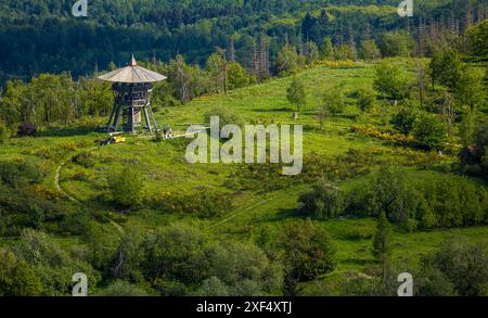 Aus der Vogelperspektive, Aussichtsturm Eggeturm auf dem Lippischen Velmerstot, Baustelle für Renovierung, Teutoburger Wald, Veldrom, Horn-Bad Mei Stockfoto