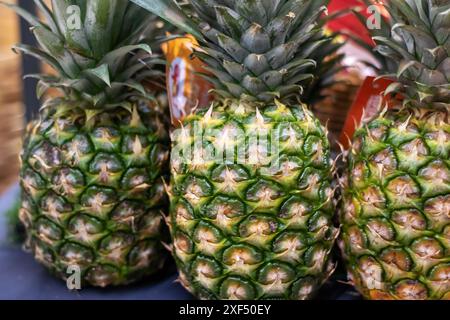 Eine Ananas-Sammlung wird auf einer Tischplatte platziert und zeigt die Vielfalt dieser tropischen Früchte Stockfoto