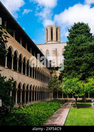 Das Kloster Pedralbes in Barcelona/Spanien Stockfoto