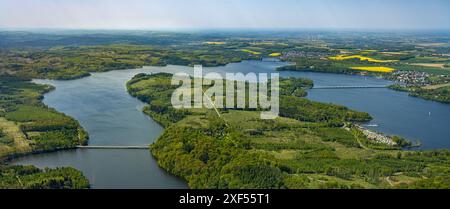 Aus der Vogelperspektive Möhnesee Südufer mit Friedhofswald und Baumschäden, Friedhof, Dürre im Wald, Stausee, Rindenkäfer-Befall, Baumbestattung Stockfoto