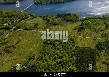 Aus der Vogelperspektive Möhnesee Südufer mit Friedhofswald und Baumschäden, Friedhof, Dürre im Wald, Stausee, Rindenkäfer-Befall, Baumbestattung Stockfoto