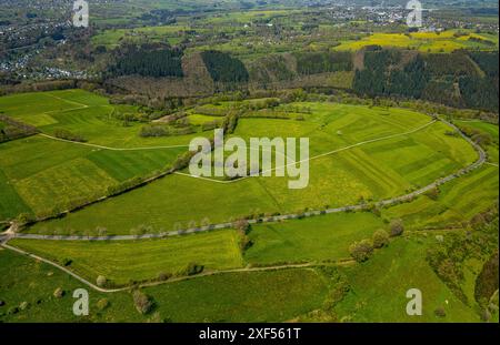 Aus der Vogelperspektive, Wiesen und Felder mit Narzissen, Baumallee Schleidener Straße, Waldgebiet Mittleres Rurtal mit den Felsenformationen von Perdsl Stockfoto