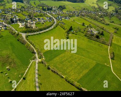 Aus der Vogelperspektive, Wiesen und Felder mit Narzissen, Kreuzungen und Baumallee an der Schleidener Straße und Schafstrift, Formen und Farben, Residentien Stockfoto