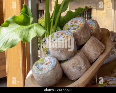 OVIEDO, SPANIEN - 10. MAI 2024: Gamoneu oder Gamonedo Käse kleine ganze Räder auf der Messe der Himmelfahrt in Oviedo, Asturien, Spanien Stockfoto