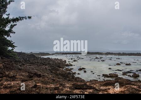 Bei Ebbe an einem Strand von Oahu erkunden Schnorchler mit Schutzbrille das klare Wasser. Ein Katamaran liegt in der Nähe und trägt zur ruhigen Meereslandschaft von Th bei Stockfoto