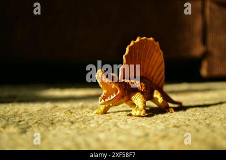 Auf einem Wollteppich steht eine Figur eines aggressiven knurrenden orangen Dinosauriers Dimetrodon und wird von Sonnenlicht beleuchtet Stockfoto