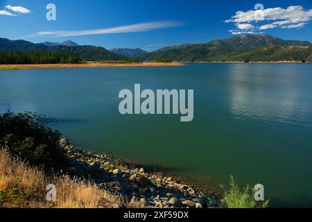 Trinity Lake, Whiskeytown-Shasta-Trinity National Recreation Area, Kalifornien Stockfoto