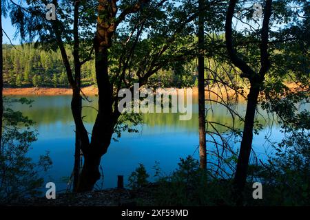 Trinity Lake, Whiskeytown-Shasta-Trinity National Recreation Area, Kalifornien Stockfoto