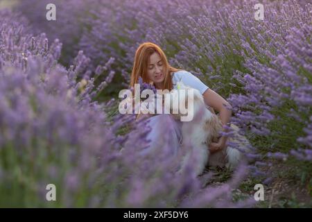 Eine Frau sitzt auf einem Feld aus Lavendelblumen mit einem Hund an ihrer Seite Stockfoto
