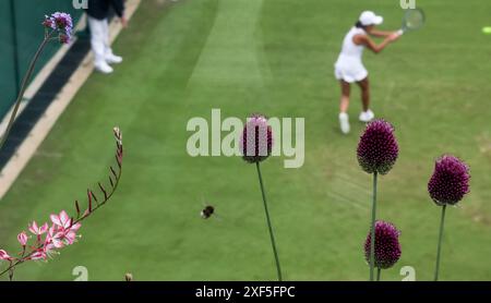 London, Großbritannien. Juli 2024. Zhang Shuai tritt am 1. Juli 2024 bei der Wimbledon Tennis Championship in London an. Quelle: Han Yan/Xinhua/Alamy Live News Stockfoto