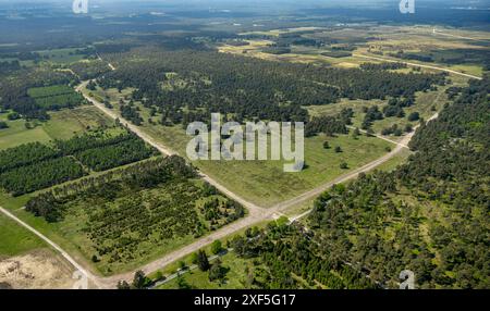 Luftaufnahme, Senne Heidelandschaft, Mergelweg an der Ecke Schlangener Straße, Wald und Wiesen, Oesterholz-Haustenbeck, Schlangen, Ostwestpha Stockfoto