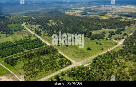 Luftaufnahme, Senne Heidelandschaft, Mergelweg an der Ecke Schlangener Straße, Wald und Wiesen, Oesterholz-Haustenbeck, Schlangen, Ostwestpha Stockfoto